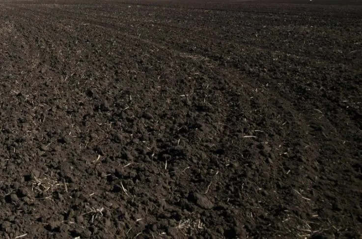 Custom lawn care service experts serving Noblesville, IN - Nature Vibes Landscaping