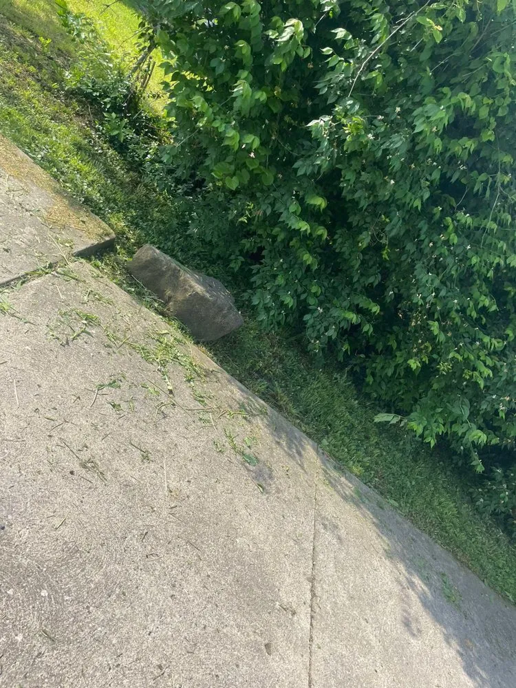 Local lawn mowing service experts serving Noblesville, IN - Nature Vibes Landscaping