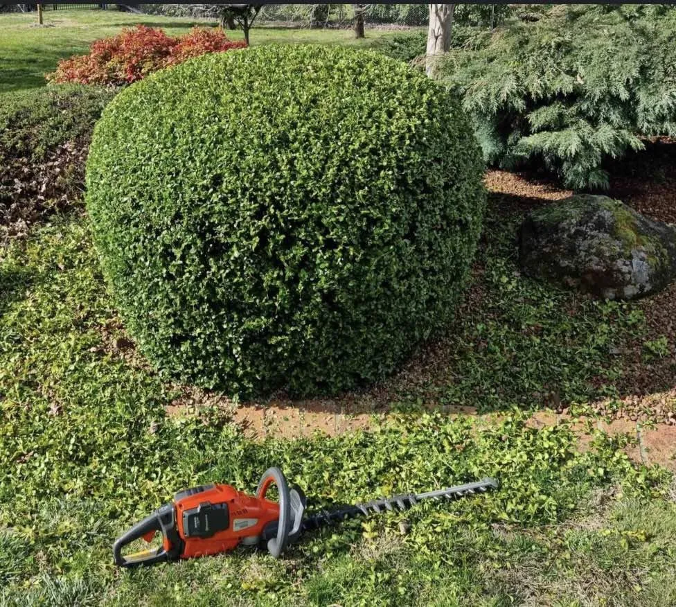 Local outdoor landscaping with custom design in Noblesville, IN by Nature Vibes Landscaping