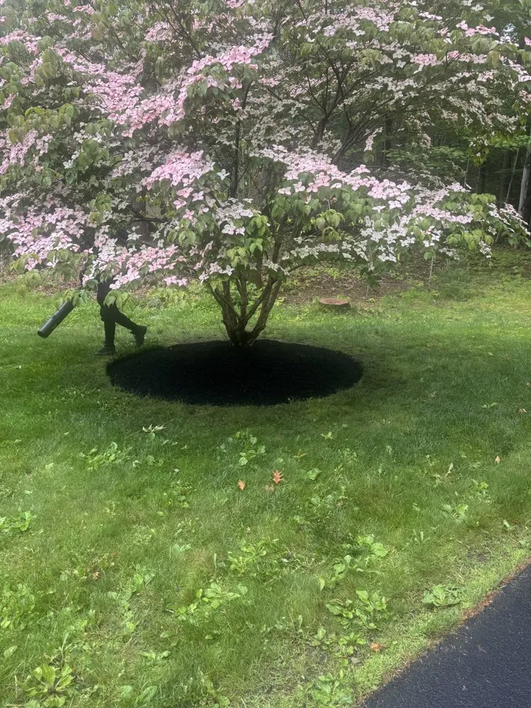 Reliable landscape design with custom design across York, ME - Nature Vibes Landscaping