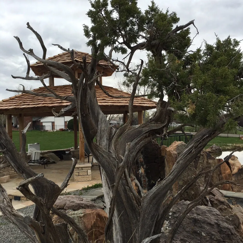 Expert garden landscaping experts serving Englewood, CO - Nature View Landscape