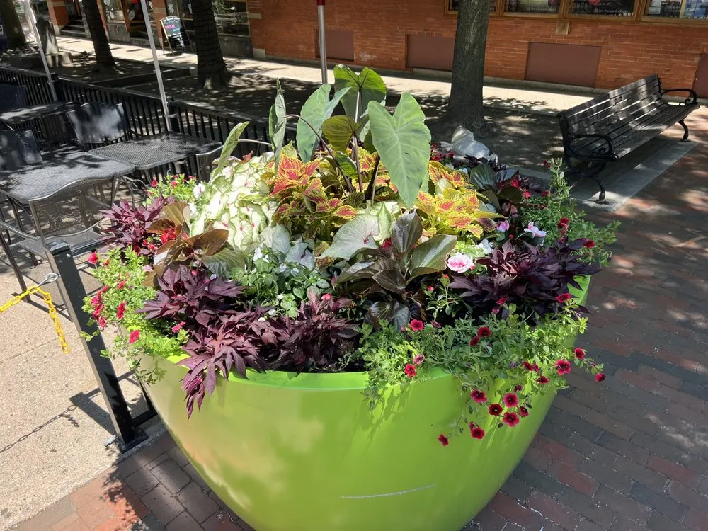 Affordable residential landscaping for beautiful yards across Hanover, MA - Nature Walker