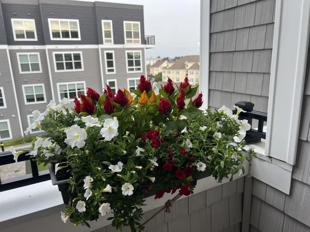 Expert residential landscaping experts serving Hanover, MA - Nature Walker