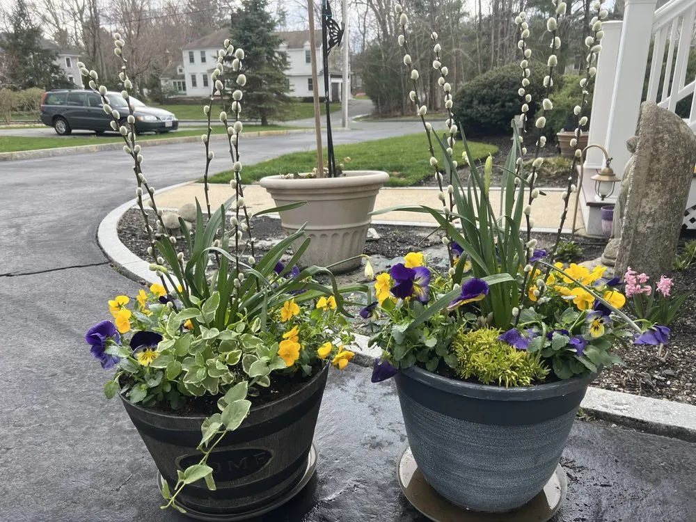 Expert yard cleanup service experts serving Hanover, MA - Nature Walker