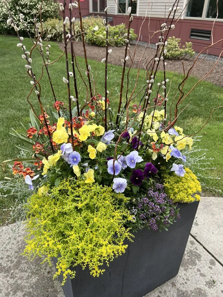 Custom landscaping services experts serving Hanover, MA - Nature Walker