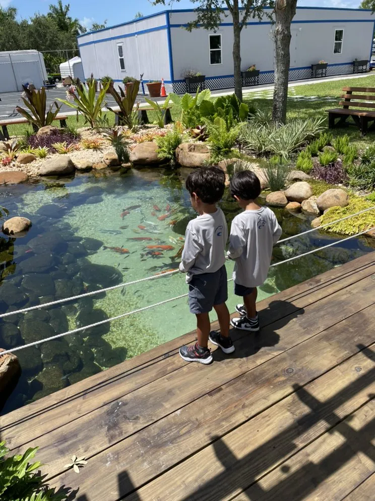 Local landscape design in Naples, FL - Nature Waterscapes