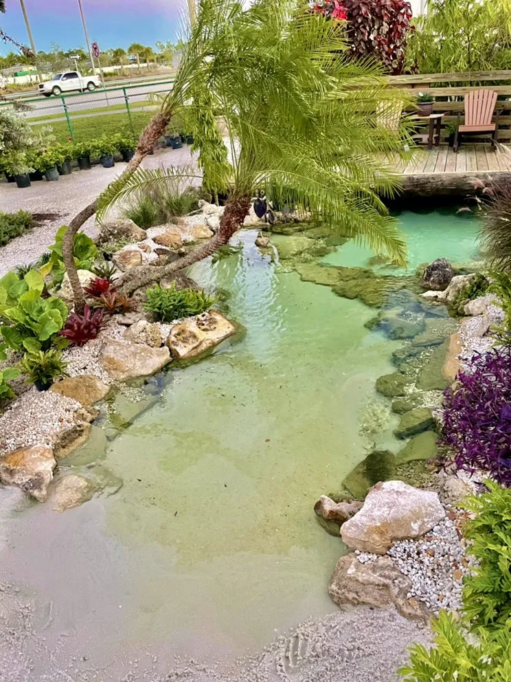 Expert outdoor landscaping in Naples, FL - Nature Waterscapes