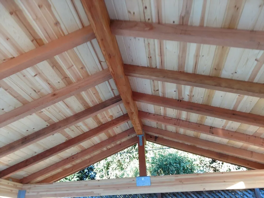 Custom yard cleanup service for beautiful yards across Brentwood, CA - Nature Works