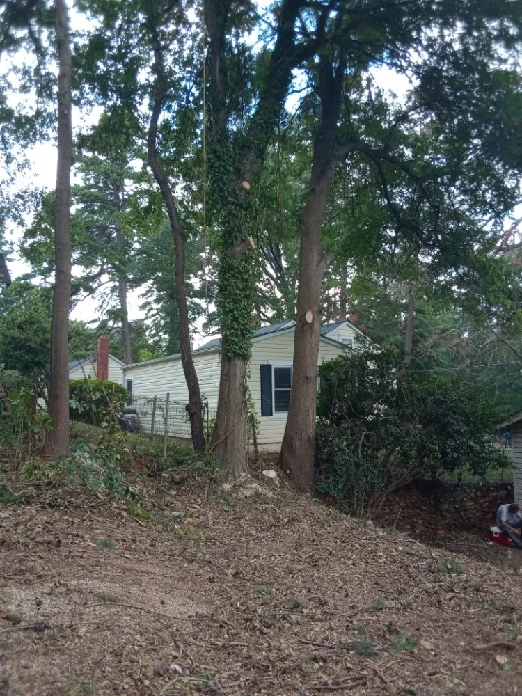 Custom outdoor landscaping for residential properties in Lexington, NC by Nature Worx