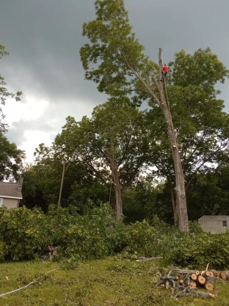 Top-rated garden landscaping for year-round maintenance in Lexington, NC by Nature Worx