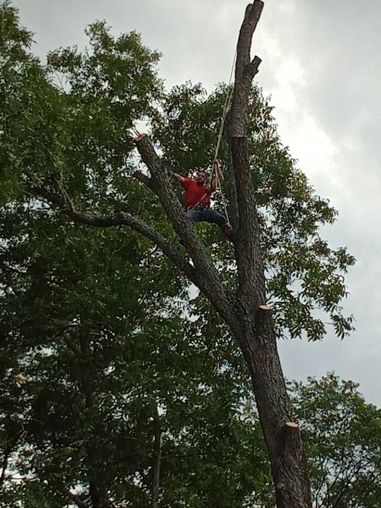 Local outdoor landscaping in Lexington, NC by Nature Worx