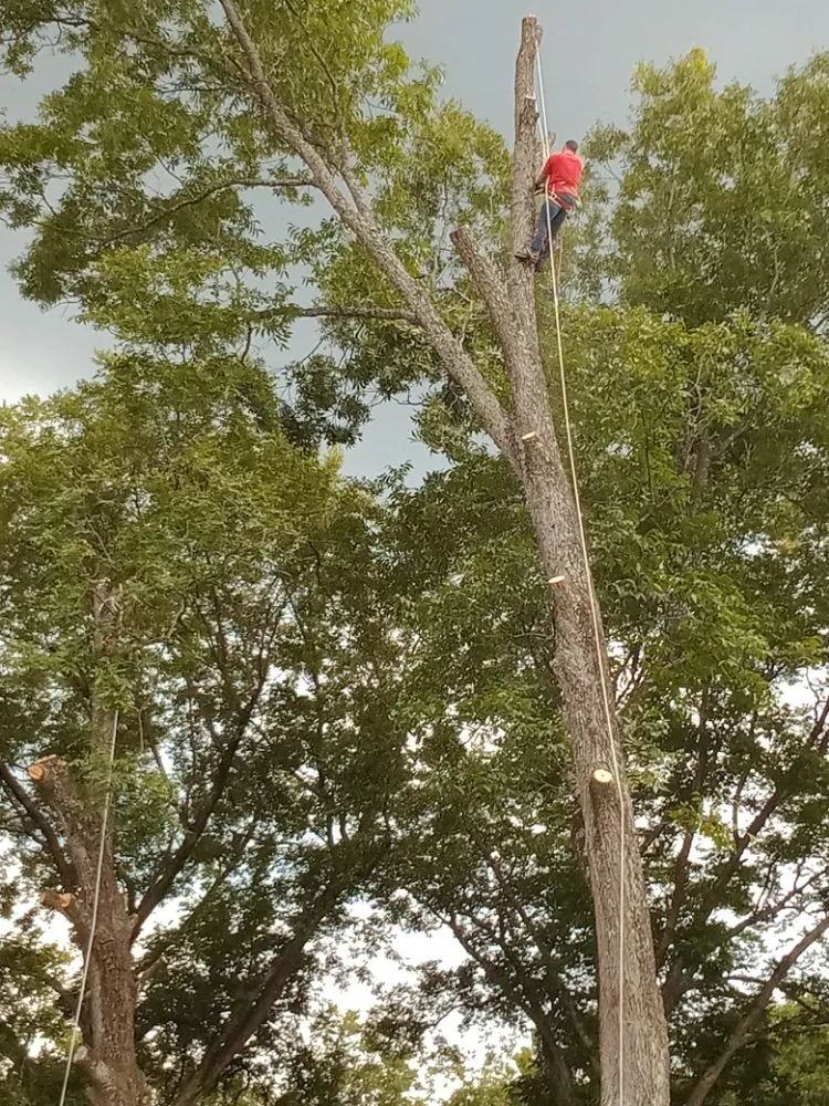 Custom lawn care service in Lexington, NC - Nature Worx