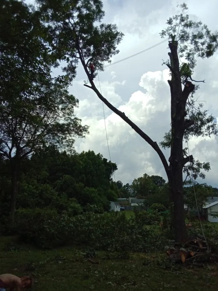 Trusted landscape installation experts serving Lexington, NC - Nature Worx