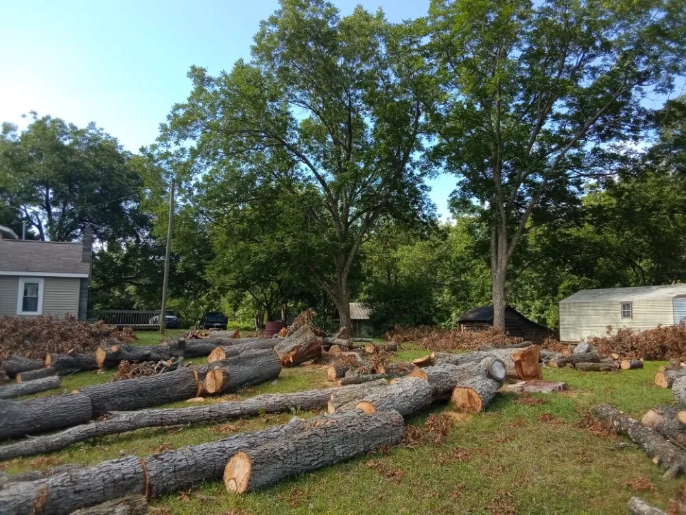 Trusted yard maintenance near you in Lexington, NC by Nature Worx