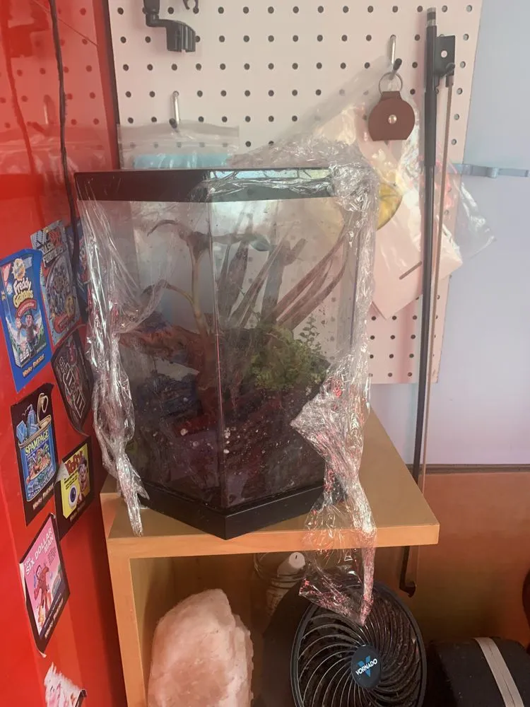 Affordable landscape design experts serving Los Angeles, CA - Nature x art Landscaping