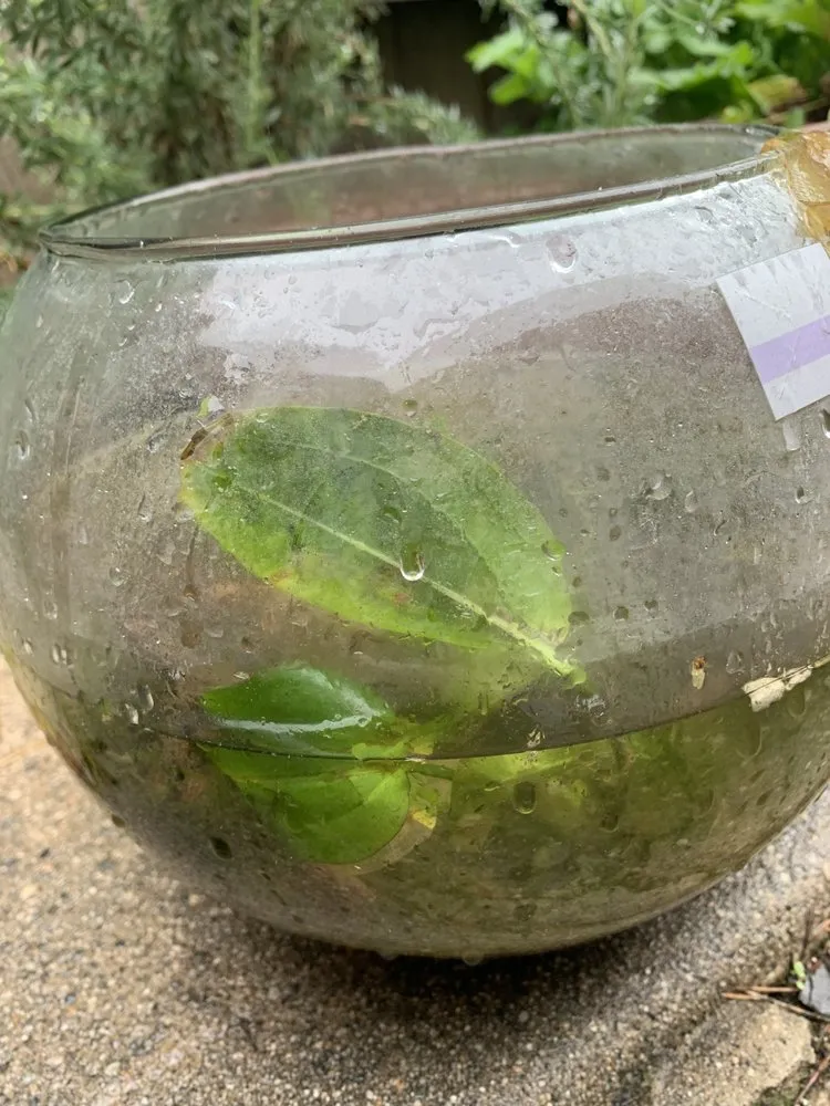 Trusted landscape installation in Los Angeles, CA - Nature x art Landscaping