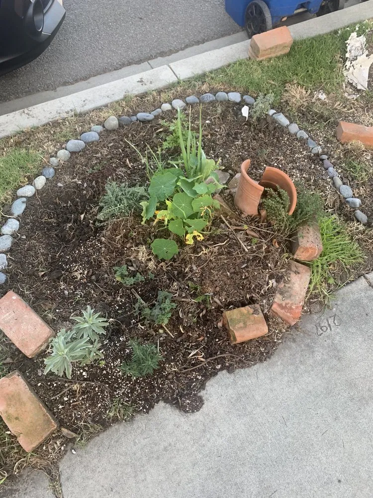 Professional yard cleanup service for beautiful yards across Los Angeles, CA - Nature x art Landscaping