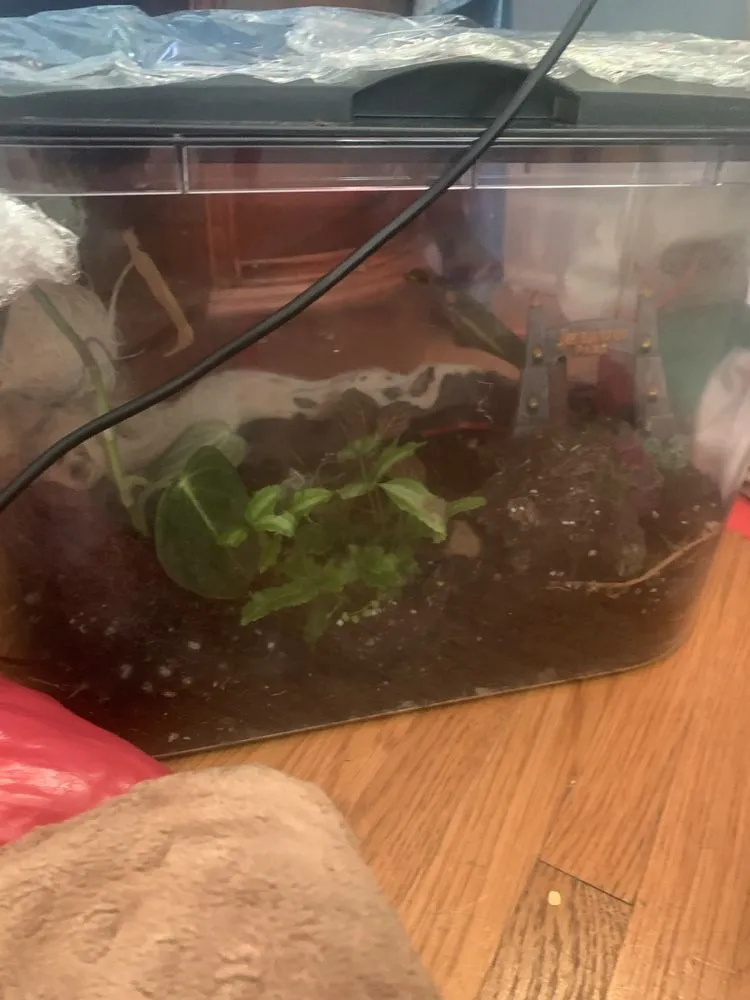 Local garden landscaping experts serving Los Angeles, CA - Nature x art Landscaping