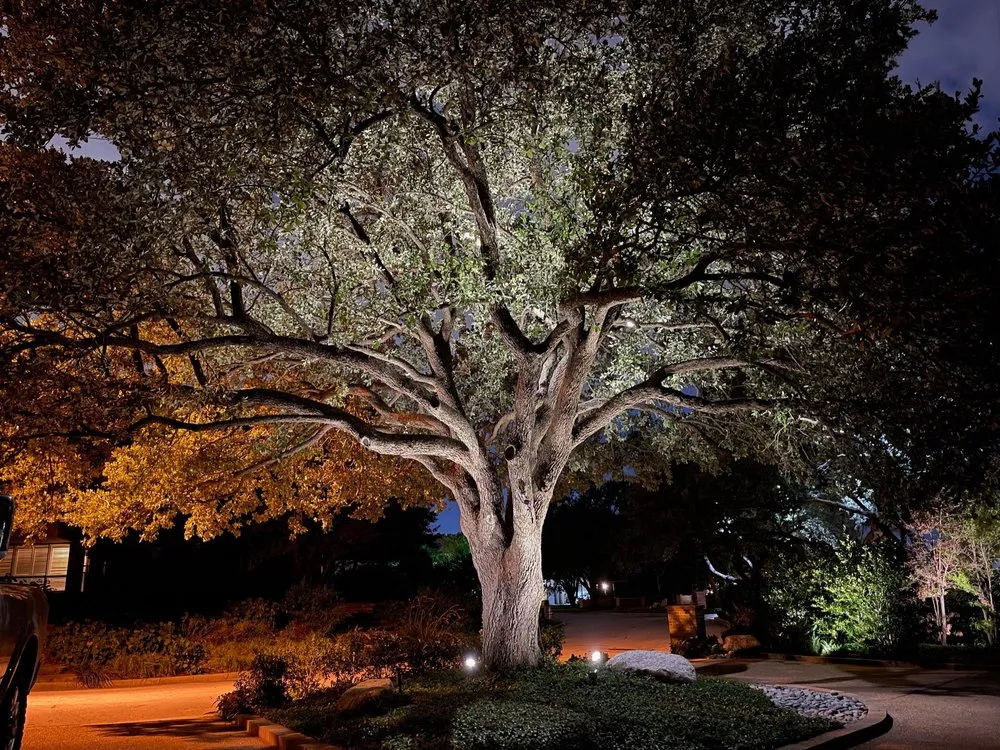 Trusted outdoor landscaping in Arlington, TX by NatureCare Lawn Services