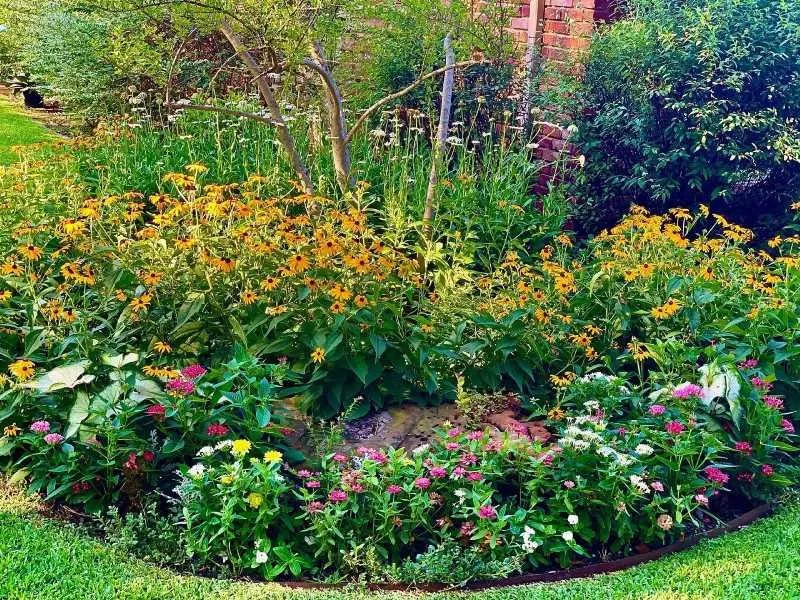 Professional yard cleanup service near you across Arlington, TX - NatureCare Lawn Services