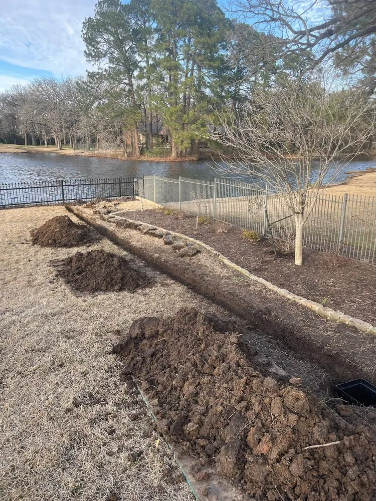 Reliable yard cleanup service in Arlington, TX by NatureCare Lawn Services