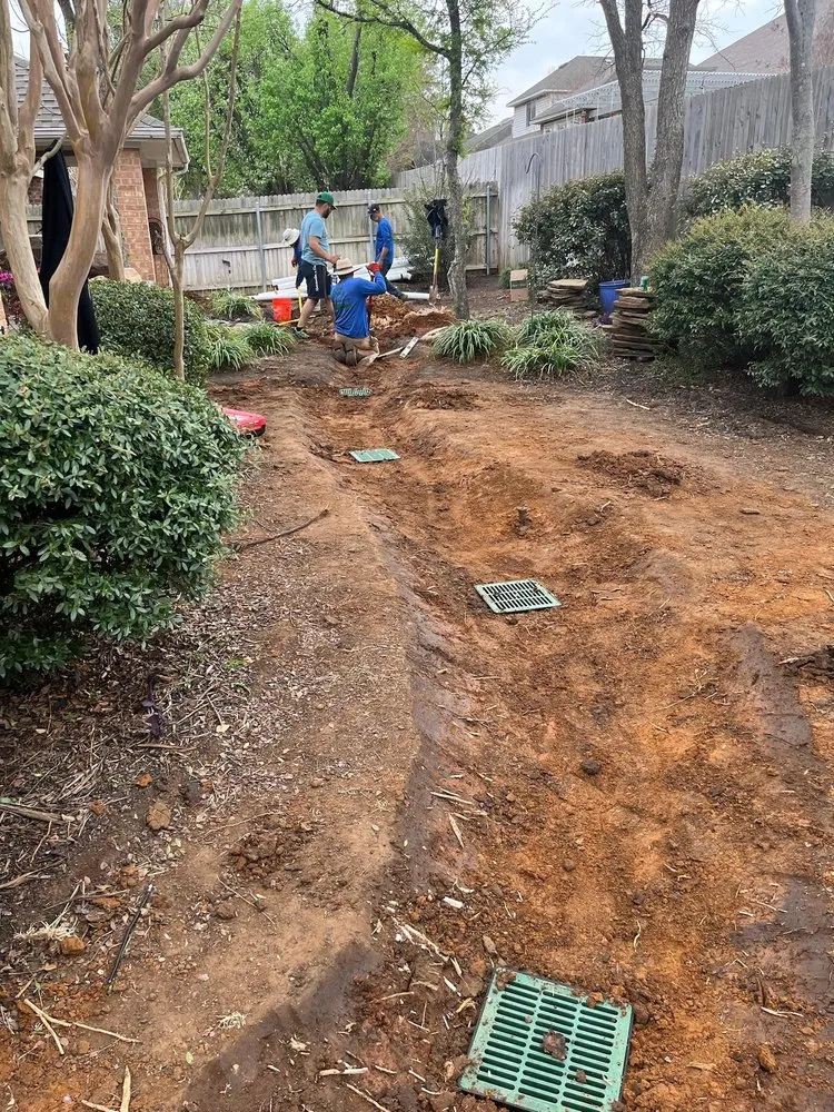 Professional yard cleanup service in Arlington, TX - NatureCare Lawn Services