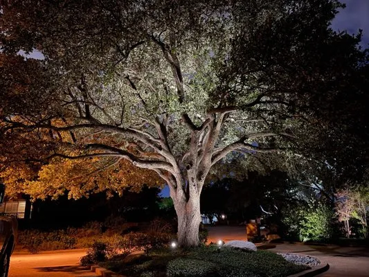 NatureCare Lawn Services Logo