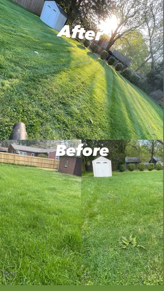 Trusted outdoor landscaping experts serving Williamsburg, VA - Naturepath Landscaping