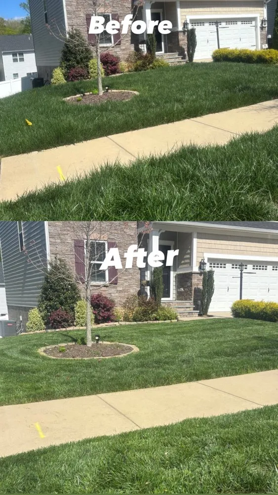 Custom landscape installation in Williamsburg, VA by Naturepath Landscaping