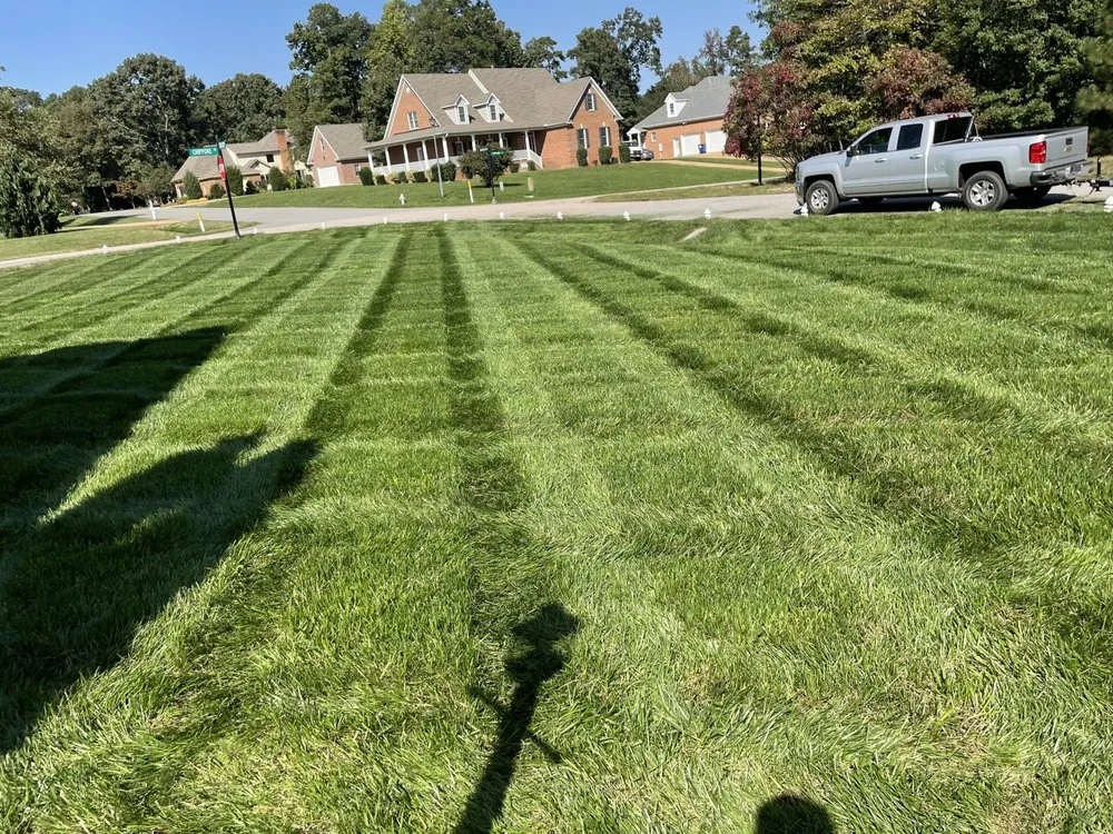 Custom yard cleanup service in Williamsburg, VA by Naturepath Landscaping