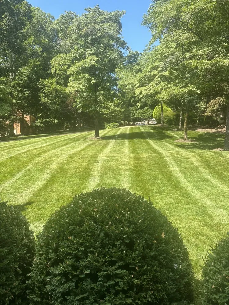 Trusted garden landscaping in Williamsburg, VA by Naturepath Landscaping