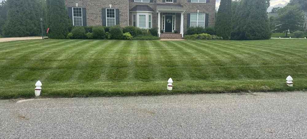 Professional landscape design experts serving Williamsburg, VA - Naturepath Landscaping