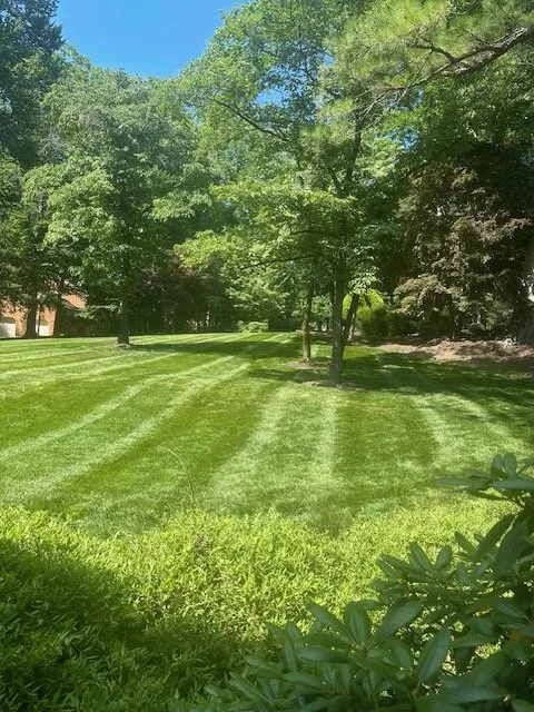 Professional landscaping services for beautiful yards in Williamsburg, VA by Naturepath Landscaping