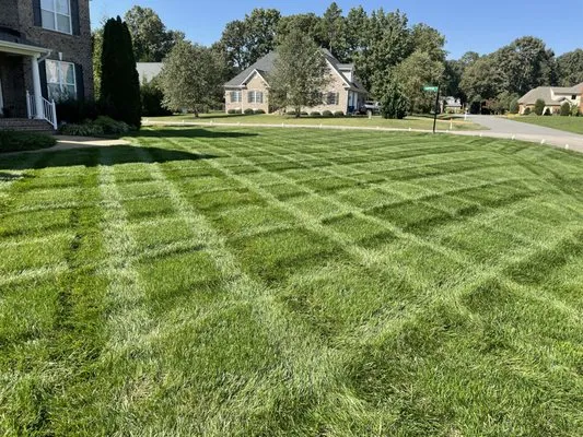 Naturepath Landscaping