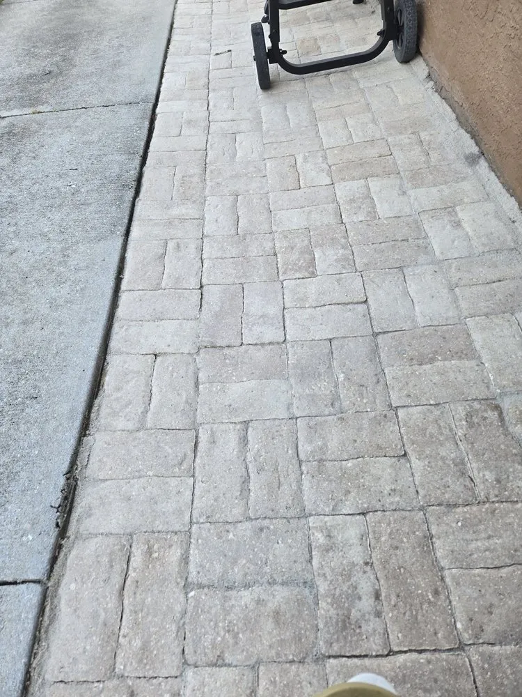 Trusted landscape design in Arcadia, FL by Naturepro Services