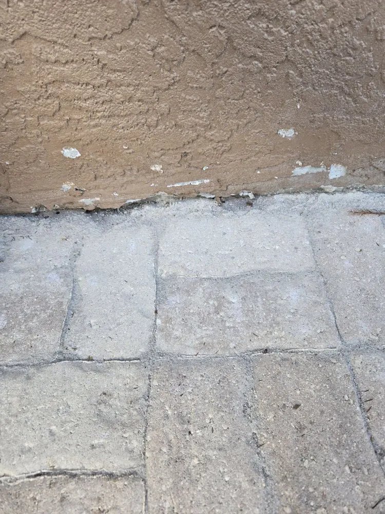 Affordable yard maintenance in Arcadia, FL by Naturepro Services