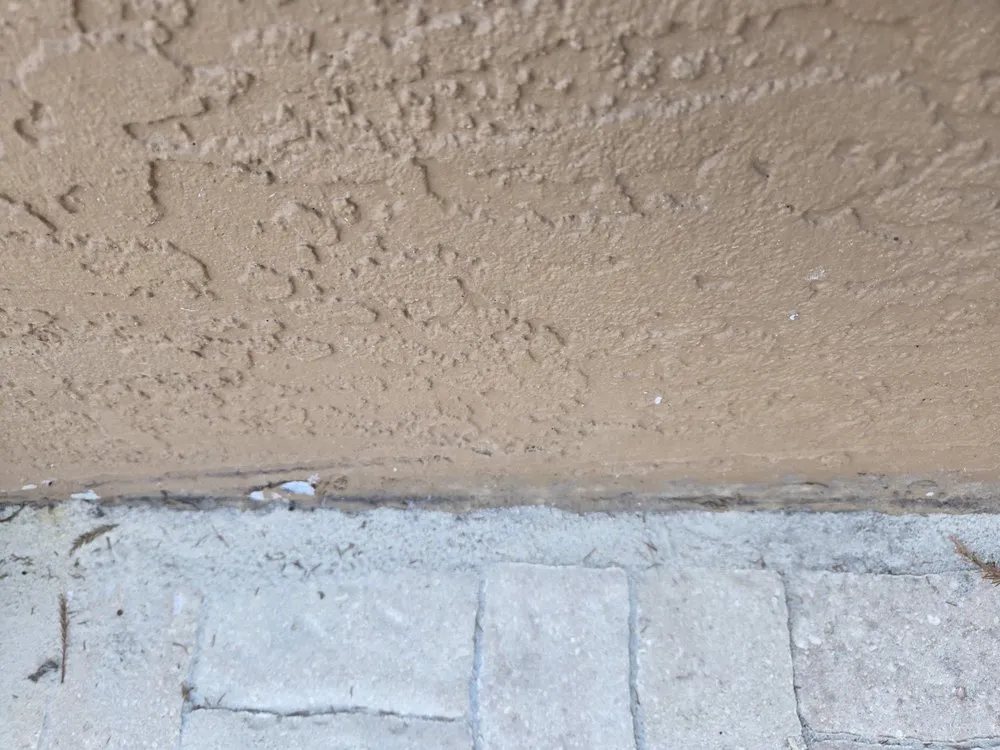 Top-rated garden landscaping with custom design in Arcadia, FL by Naturepro Services