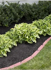 Professional residential landscaping near you in Eastampton, NJ by Nature's Ally