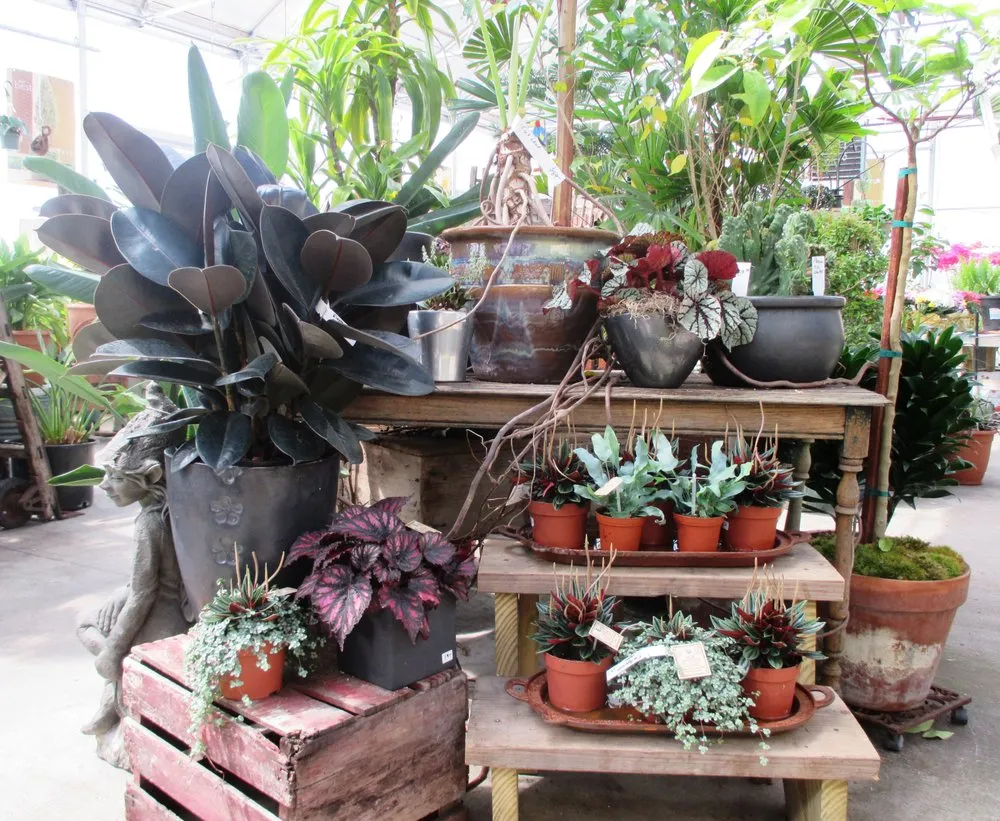 Trusted outdoor landscaping experts serving Cumberland, MD - Nature's Art & Design