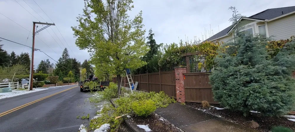 Reliable landscape installation in Vancouver, WA by Nature's Art Landscape