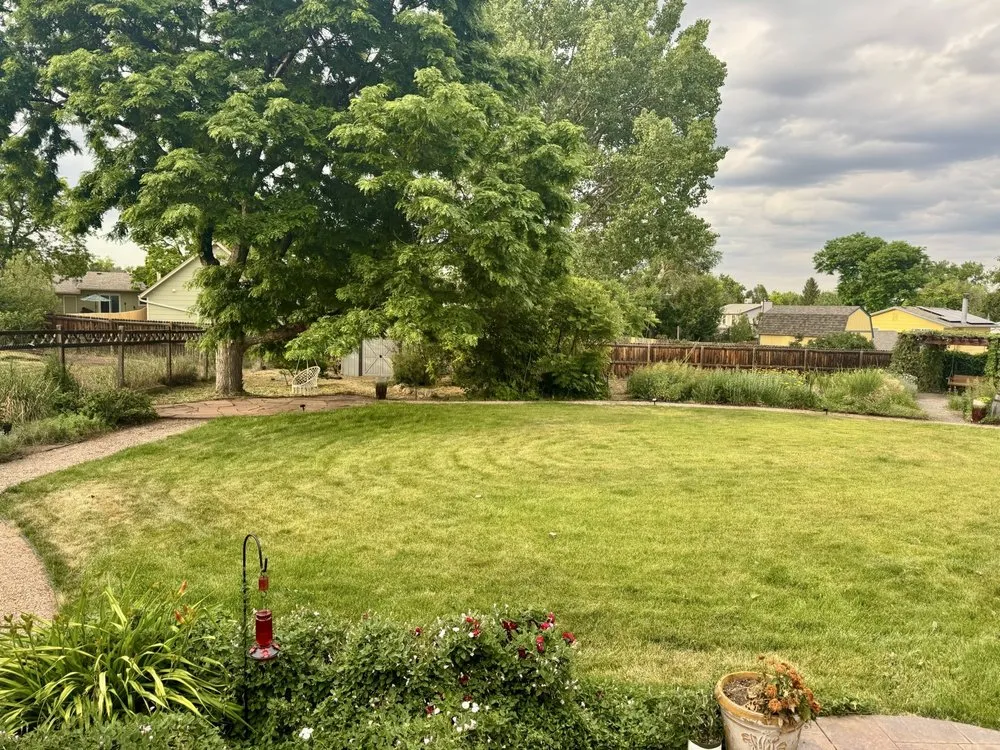 Local outdoor landscaping for outdoor upgrades across Lakewood, CO - Nature's Ascend