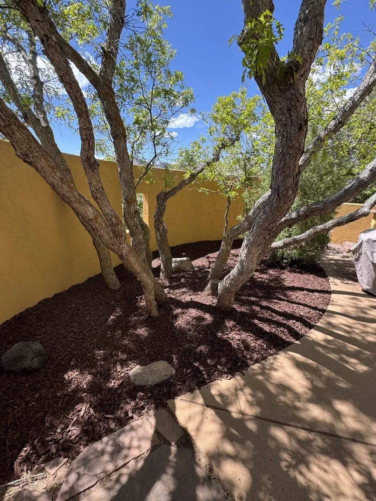 Professional yard cleanup service near you across Lakewood, CO - Nature's Ascend