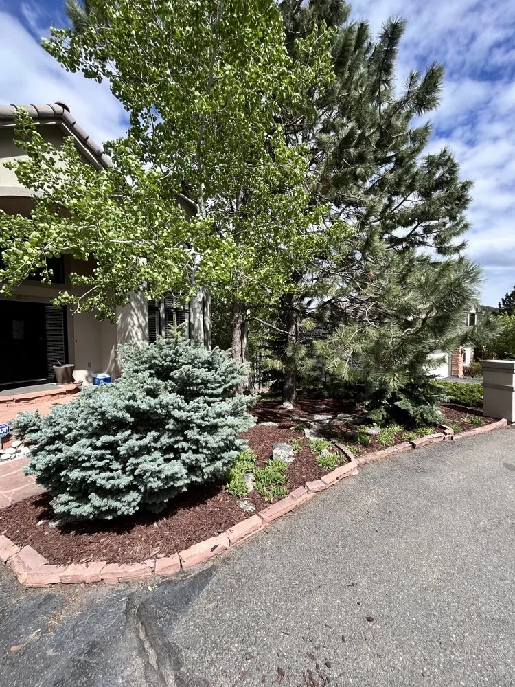 Trusted yard cleanup service in Lakewood, CO - Nature's Ascend