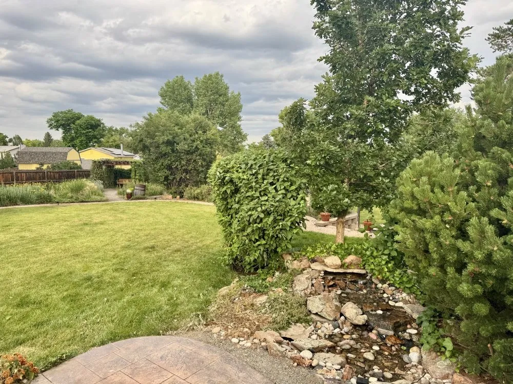 Professional lawn care service in Lakewood, CO by Nature's Ascend