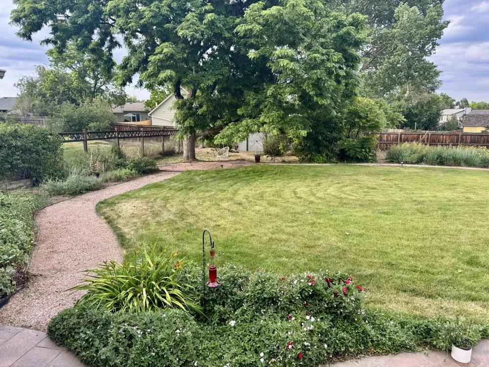 Reliable outdoor landscaping in Lakewood, CO by Nature's Ascend