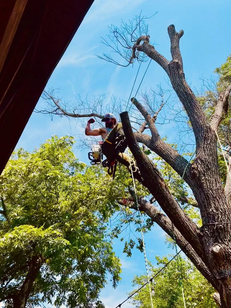 Reliable lawn care service in Bridgeport, TX - Natures Barber