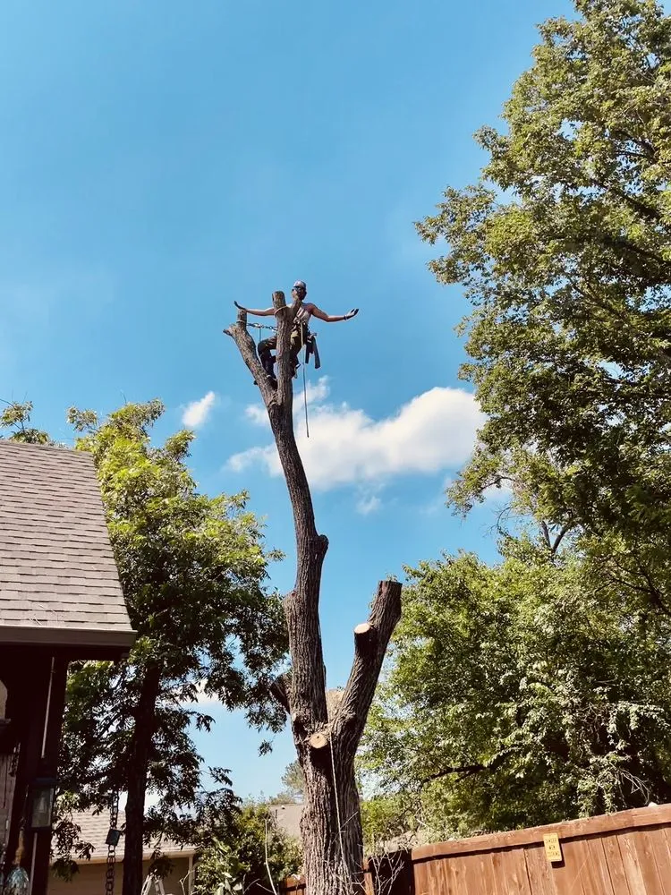 Local outdoor landscaping experts serving Bridgeport, TX - Natures Barber