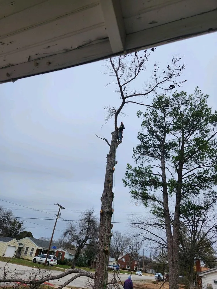 Trusted landscape design experts serving Bridgeport, TX - Natures Barber