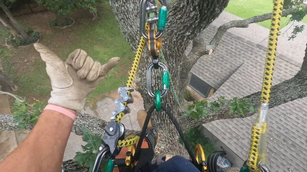 Affordable yard cleanup service in Bridgeport, TX by Natures Barber