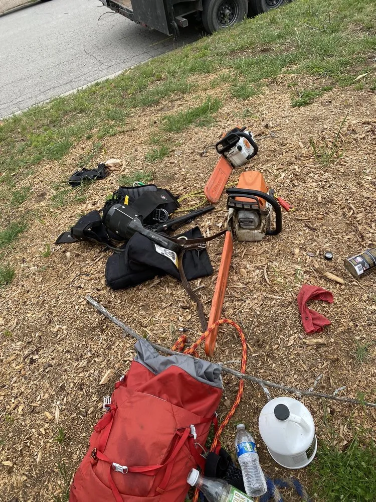 Professional yard cleanup service for residential properties in Bridgeport, TX by Natures Barber